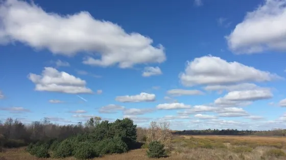 Woodland Dunes Nature Center