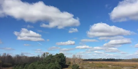 Woodland Dunes Nature Center