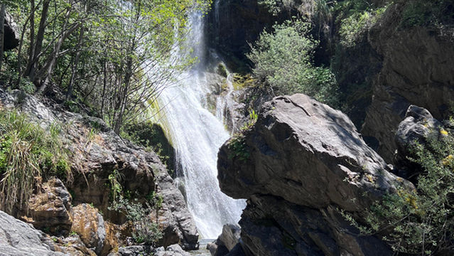 Salmon Creek Falls Trail