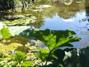 Les Jardins des Renaudies