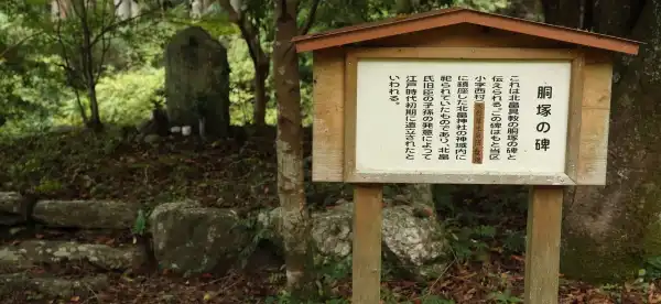 Hotels in Odai