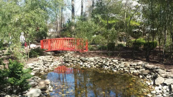 Miyazaki Japanese Garden
