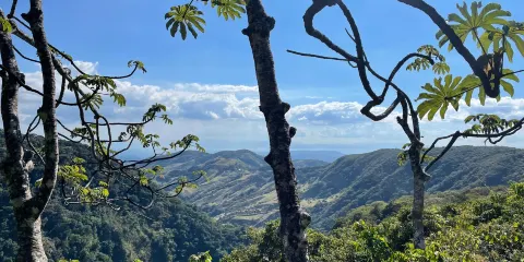 Valle Escondido Preserve