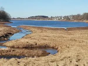 Lac de Bouzey