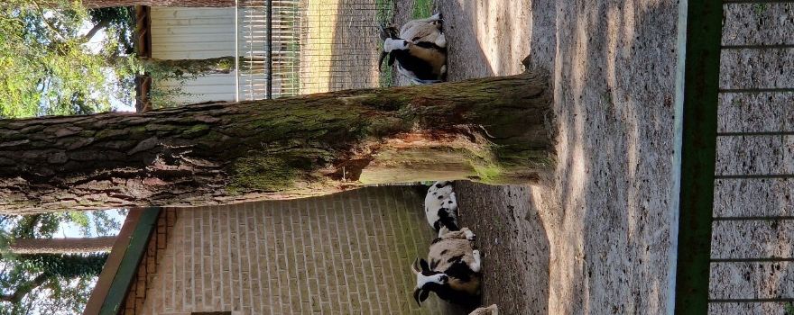 Nature and Animal Park Brueggen