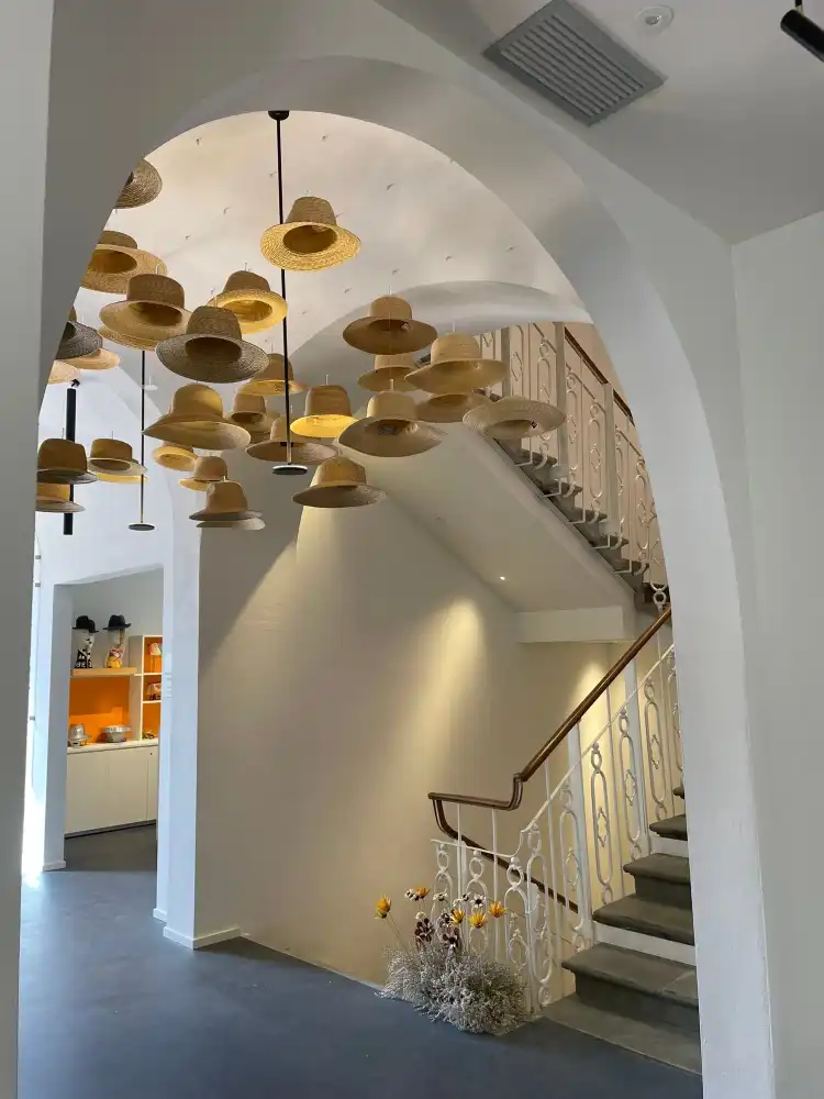Hotels in Signa