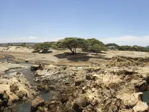 Abidjatta-Shalla National Park