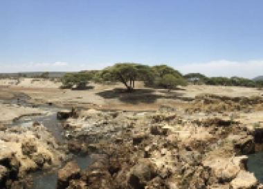 Awassa