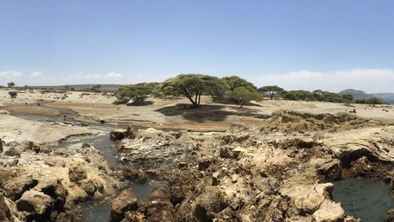 Abidjatta-Shalla National Park