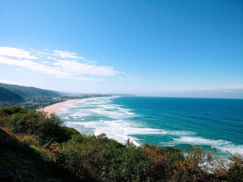 Dolphin Point