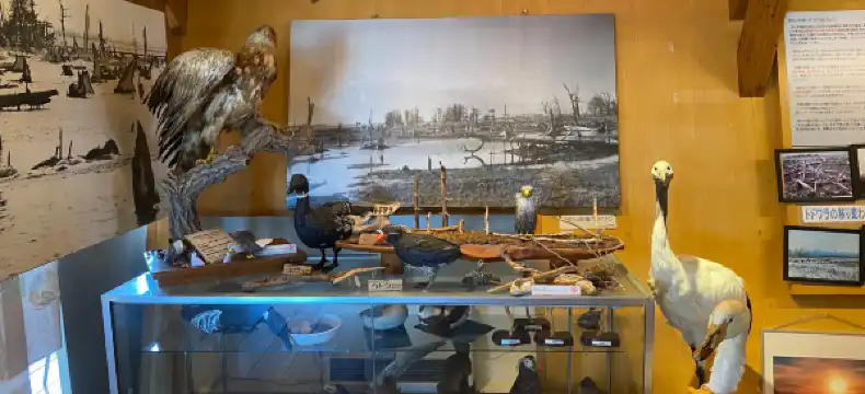 別海町のホテル