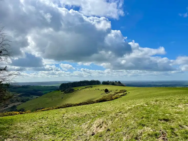 فنادق في Compton Abbas
