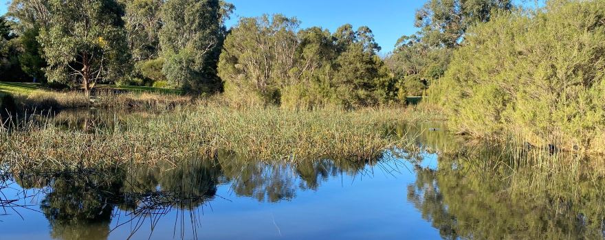 Elizabeth Bridge Reserve