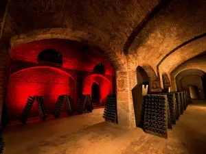 Cantine Bosca