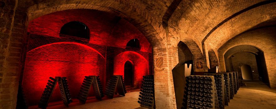 Cantine Bosca - Cattedrali Sotterranee