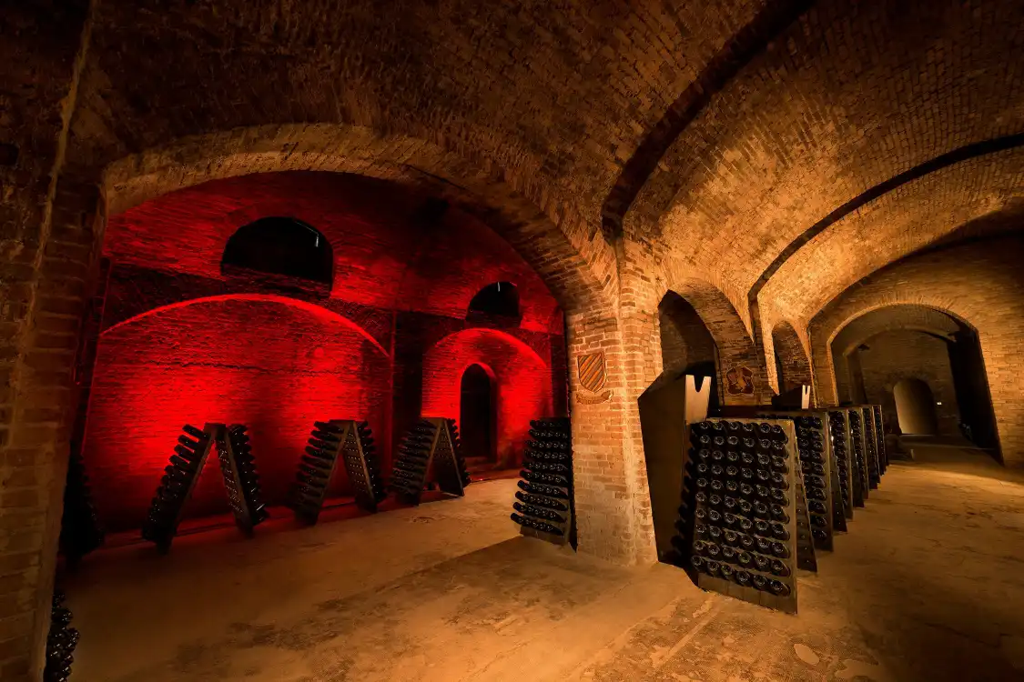Hotel in zona Cantine Bosca