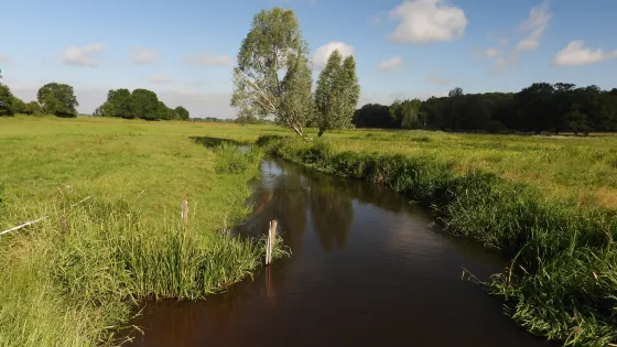 Meanderende Swalm in het Groenewoud