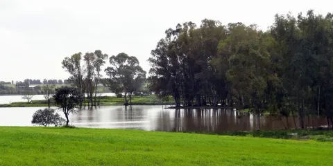 Barragem do Barrocal