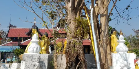 Wat Phra That Doi Mon Ching