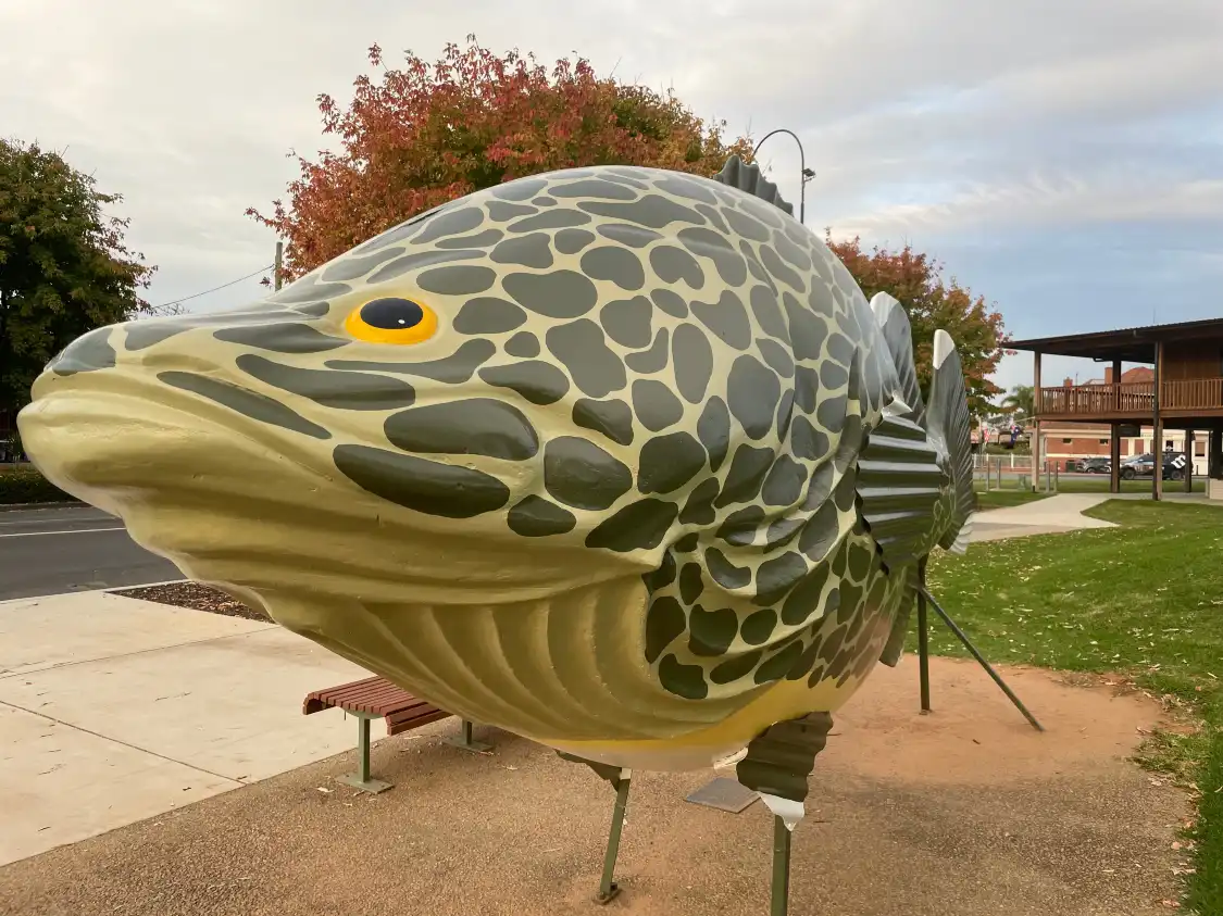 Hotels near Giant Murray Cod