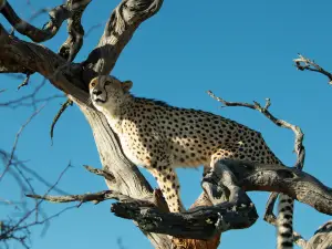 Naankuse Wildlife Sanctuary