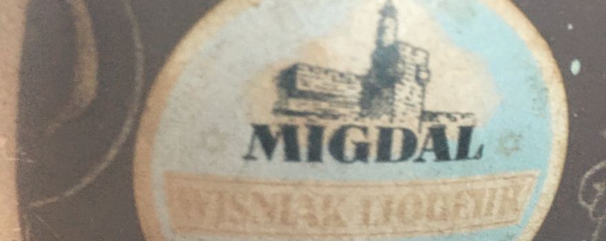 Migdal Tefen