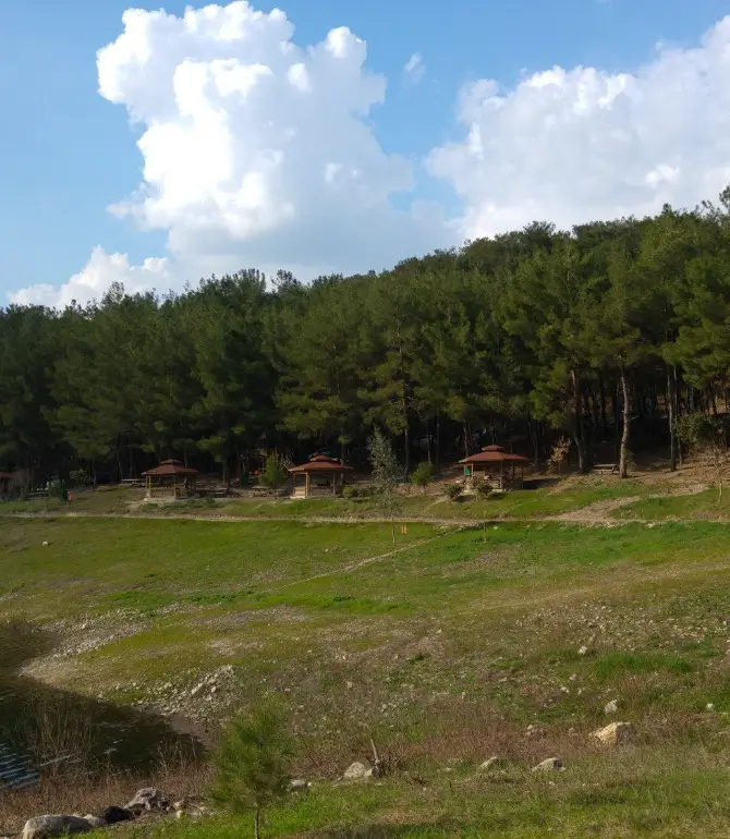 Duzici