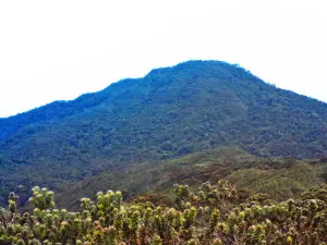 Buyu Balease