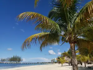 Beach Club Roatan