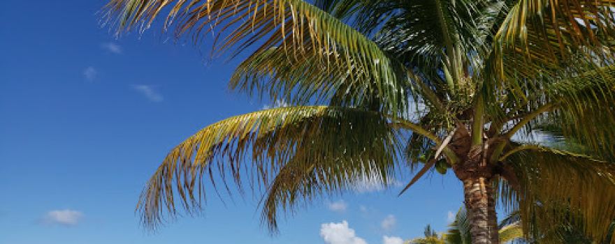 Beach Club Roatan