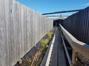 Siikalahti Nature Reserve
