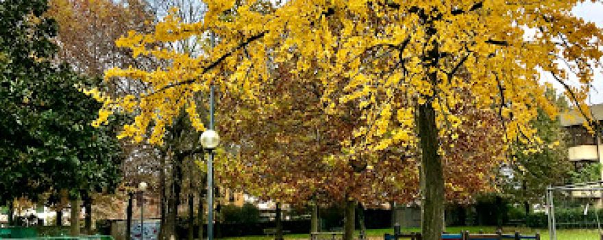 pista di pattinaggio traversagna