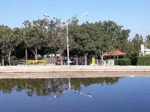 Park-e-Moallem/ Maral Tapasi
