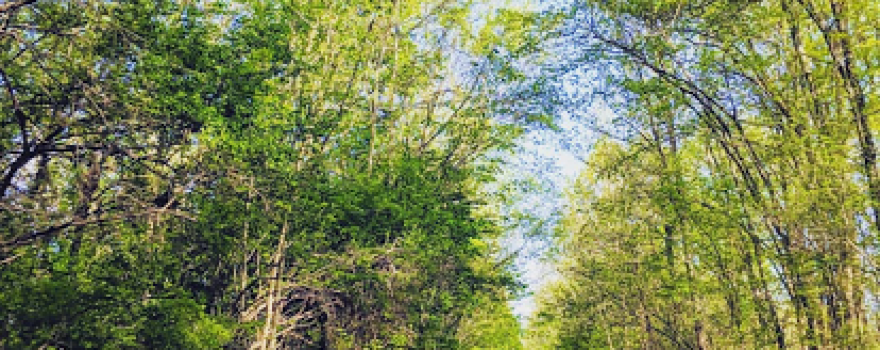 Heritage Trail - Goshen