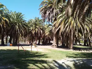 Camping "Las Palmeras"