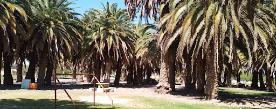 Camping "Las Palmeras"