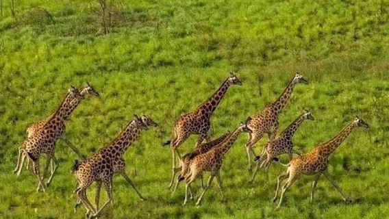 Bandingilo National Park