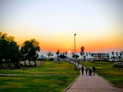 Elisheva Garden