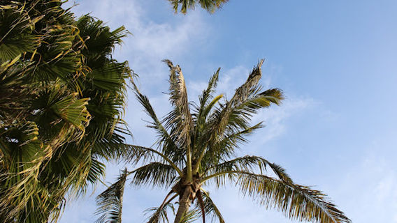 Playa Pimentel Tercer Malecón