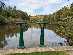 Plan d'eau - Saint Fraimbault