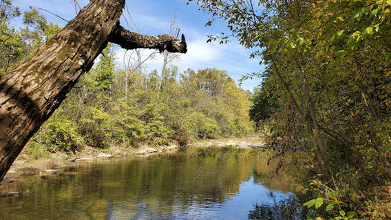 Liberty Township
