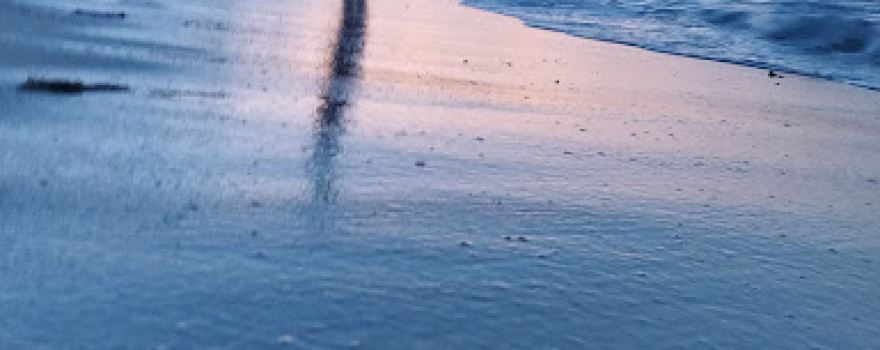 Palm Islands