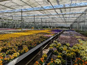 Paulwitz Pflanzenhof & Gardening