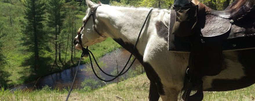 Marzinski Horse Trailhead & Campground