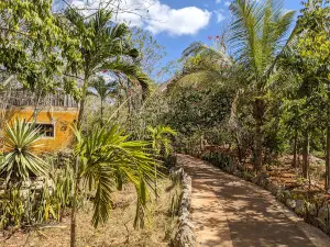 CENOTE MAYA Park Yucatan