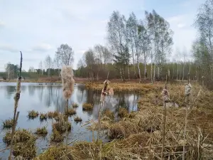 Snt Ural