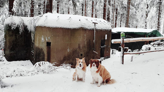 Muzeum lehkého opevnění Na Pomezí "Bunkr CH2/248/A-120Z"