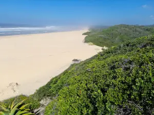Cannon Trail. 7km Hike. Woody Cape
