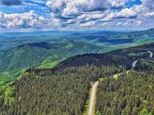 Odvraćenica