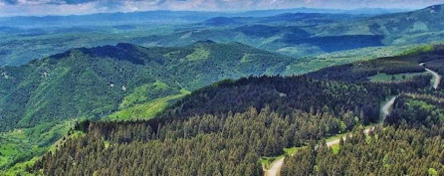 Odvraćenica